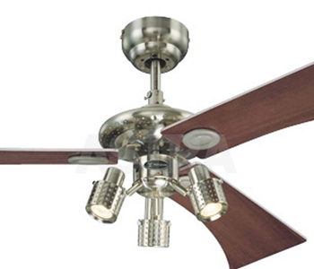 Ceiling Fans