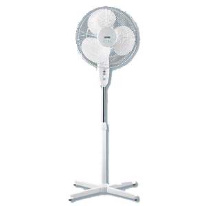 Fans